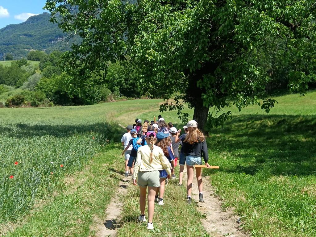 Sortie scolaire nature